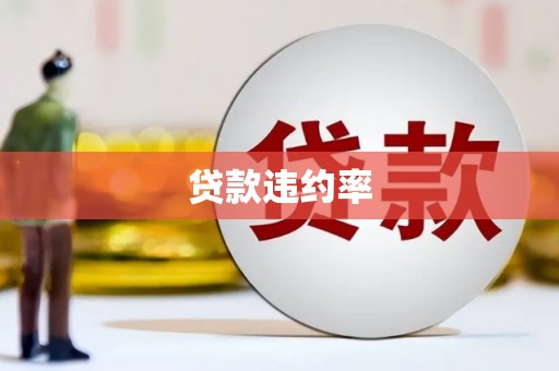 宏伟贷款违约率