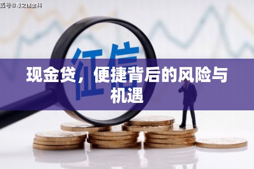 宏伟现金贷，便捷背后的风险与机遇