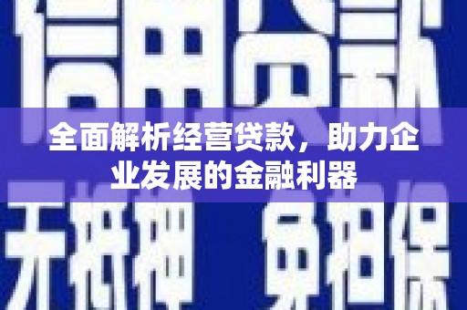 宏伟全面解析经营贷款，助力企业发展的金融利器