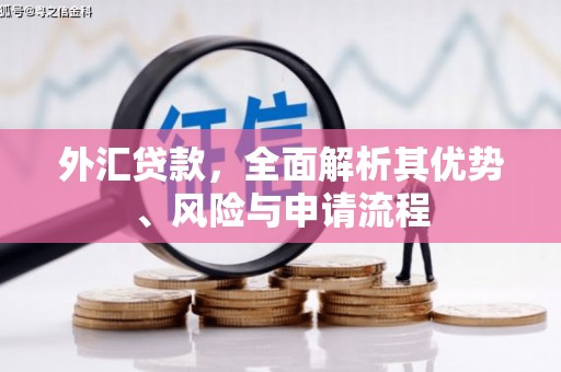 宏伟外汇贷款，全面解析其优势、风险与申请流程