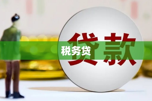 宏伟税务贷