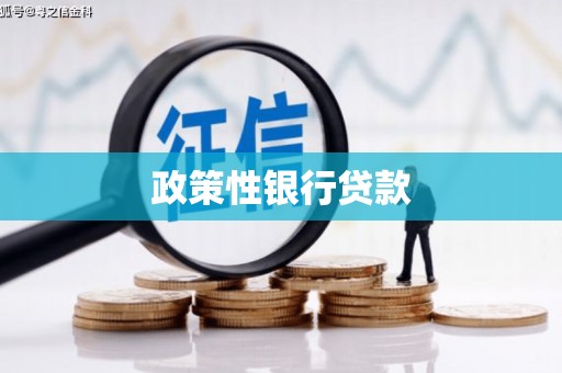 宏伟政策性银行贷款