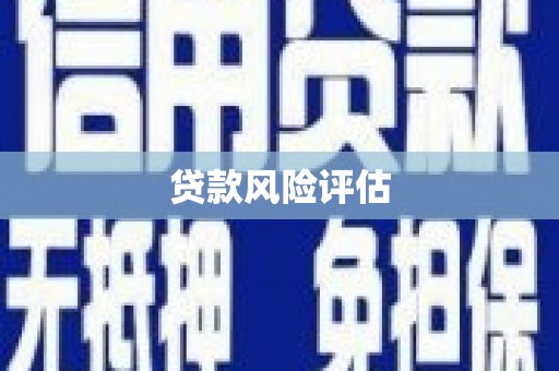 宏伟贷款风险评估