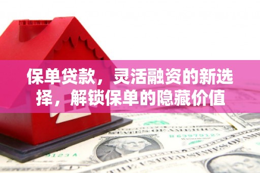 宏伟保单贷款，灵活融资的新选择，解锁保单的隐藏价值