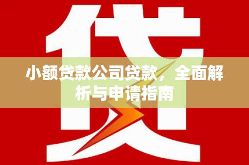 宏伟小额贷款公司贷款，全面解析与申请指南