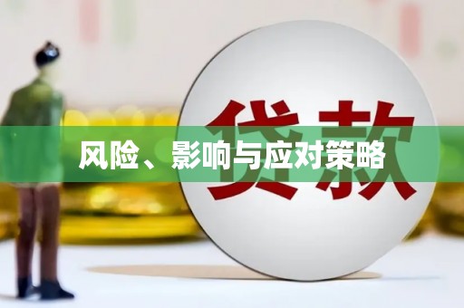 宏伟风险、影响与应对策略