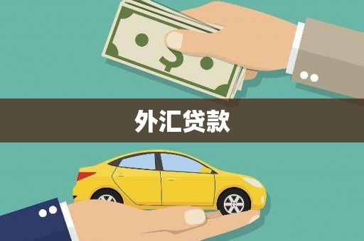 宏伟外汇贷款