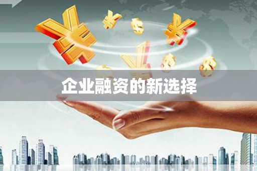 宏伟企业融资的新选择