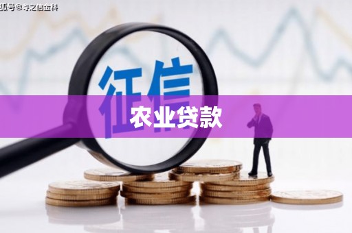 宏伟农业贷款