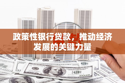 宏伟政策性银行贷款，推动经济发展的关键力量
