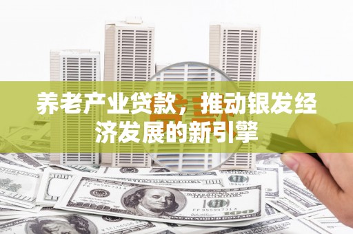 宏伟养老产业贷款，推动银发经济发展的新引擎