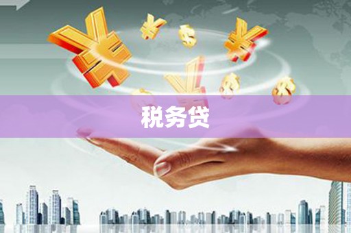 宏伟税务贷