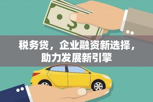 宏伟税务贷，企业融资新选择，助力发展新引擎