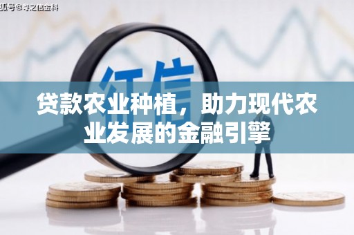 宏伟贷款农业种植，助力现代农业发展的金融引擎