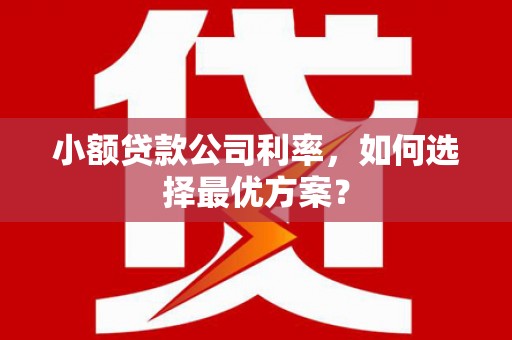宏伟小额贷款公司利率，如何选择最优方案？