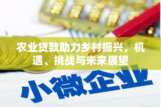 宏伟农业贷款助力乡村振兴，机遇、挑战与未来展望