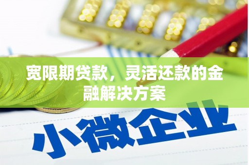 宏伟宽限期贷款，灵活还款的金融解决方案