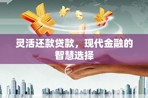 宏伟灵活还款贷款，现代金融的智慧选择