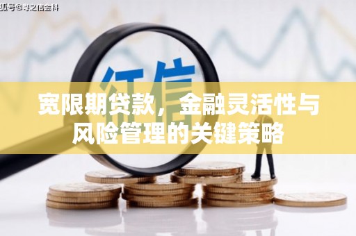 宏伟宽限期贷款，金融灵活性与风险管理的关键策略