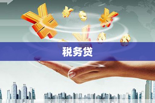 宏伟税务贷