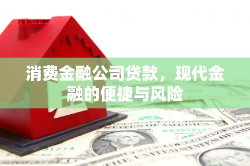 宏伟消费金融公司贷款，现代金融的便捷与风险