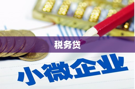 宏伟税务贷