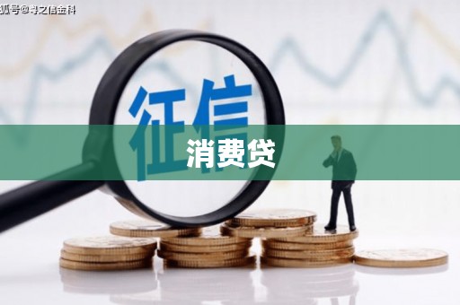 宏伟消费贷