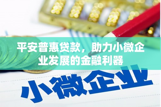 宏伟平安普惠贷款，助力小微企业发展的金融利器