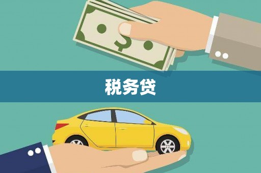 宏伟税务贷