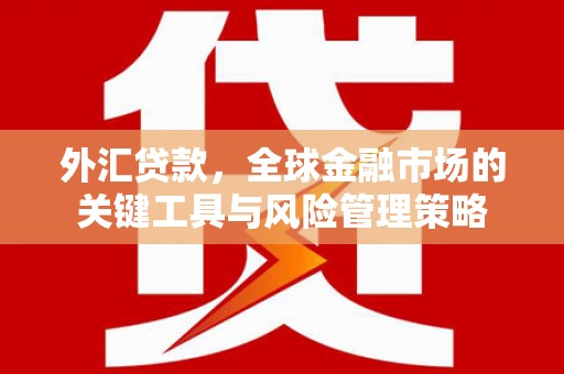 宏伟外汇贷款，全球金融市场的关键工具与风险管理策略