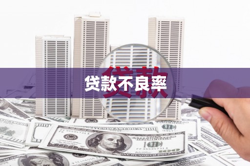 宏伟贷款不良率