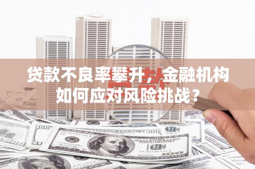 宏伟贷款不良率攀升，金融机构如何应对风险挑战？