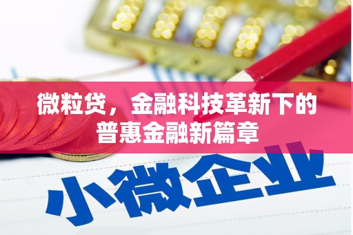 宏伟微粒贷，金融科技革新下的普惠金融新篇章