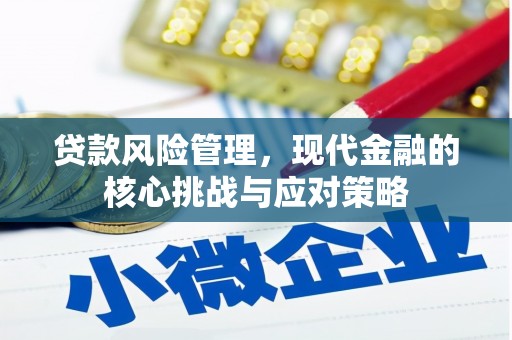宏伟贷款风险管理，现代金融的核心挑战与应对策略