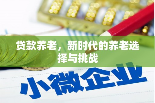 宏伟贷款养老，新时代的养老选择与挑战
