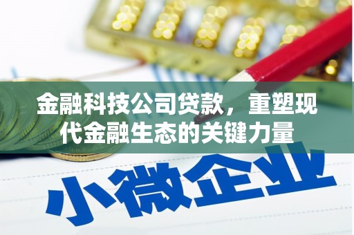 宏伟金融科技公司贷款，重塑现代金融生态的关键力量