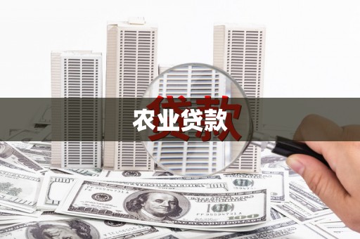 宏伟农业贷款