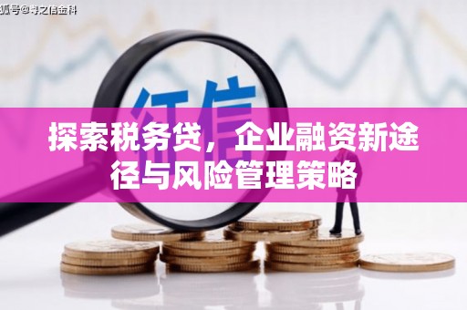 宏伟探索税务贷，企业融资新途径与风险管理策略