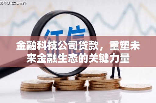 宏伟金融科技公司贷款，重塑未来金融生态的关键力量