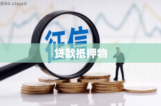 宏伟贷款抵押物