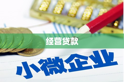 宏伟经营贷款