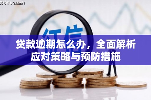 宏伟贷款逾期怎么办，全面解析应对策略与预防措施