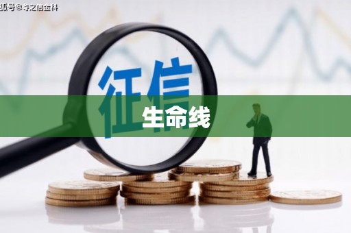 宏伟生命线