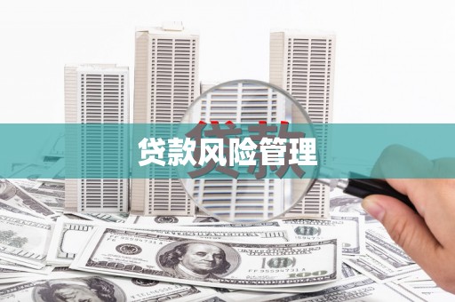 宏伟贷款风险管理
