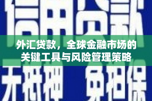 宏伟外汇贷款，全球金融市场的关键工具与风险管理策略