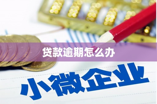 宏伟贷款逾期怎么办
