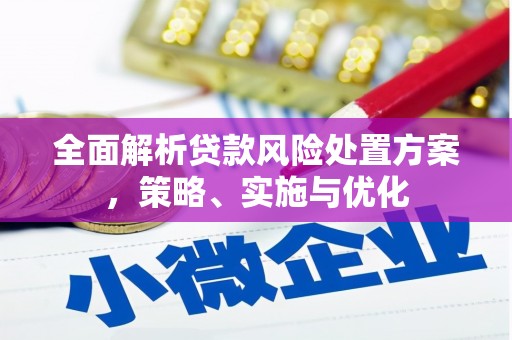 宏伟全面解析贷款风险处置方案，策略、实施与优化