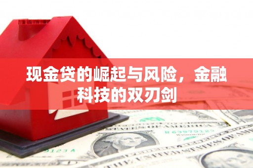 宏伟现金贷的崛起与风险，金融科技的双刃剑