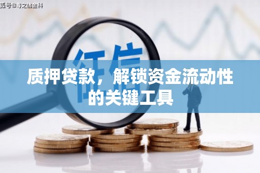 宏伟质押贷款，解锁资金流动性的关键工具