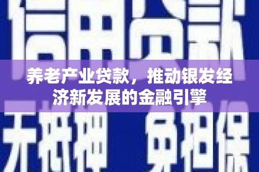 宏伟养老产业贷款，推动银发经济新发展的金融引擎